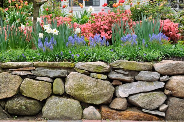 Stone Wall Hardscaping in Doylestown