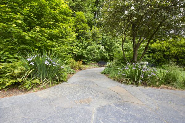 Stone Hardscape Service in Doylestown