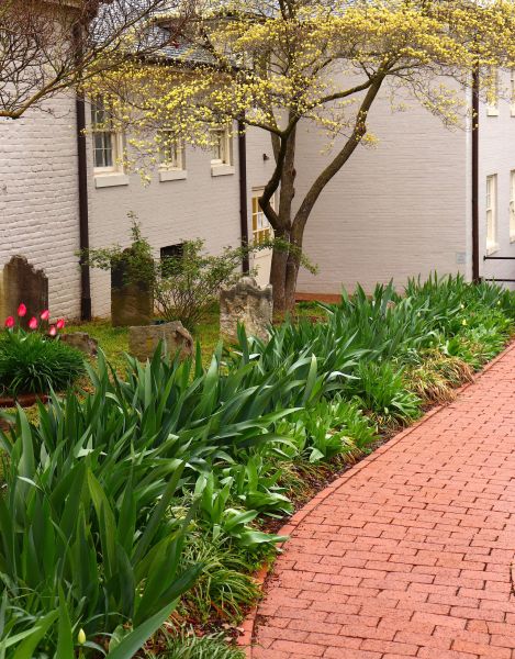 Brick Flatwork Repair in Doylestown